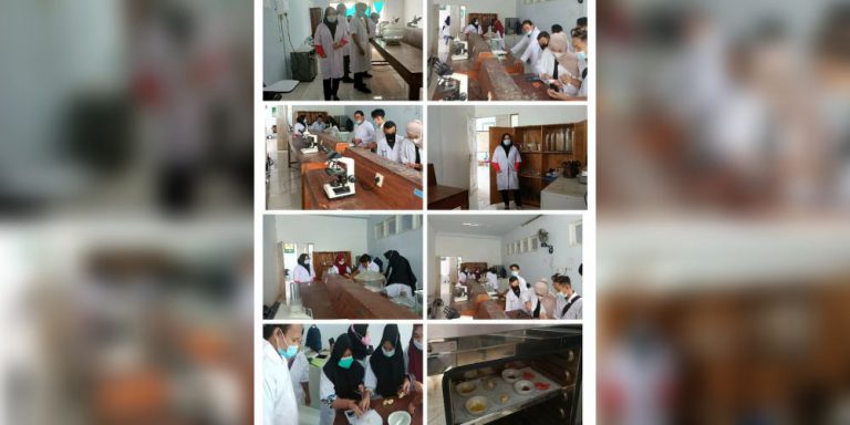 Mahasiswa Prodi THP UG Laksanakan Praktikum Analisis Hasil Pertanian